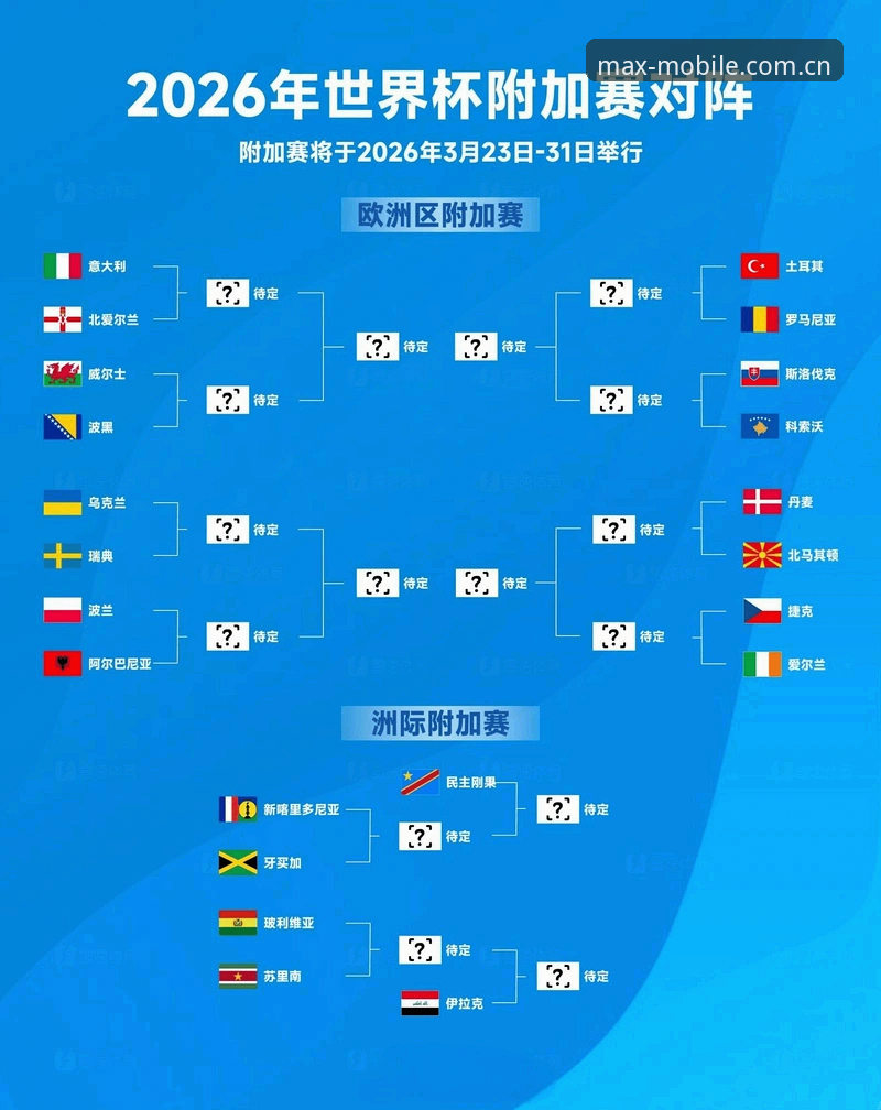 世界杯观赛受阻？这些签证问题与实用应对技巧你必须了解